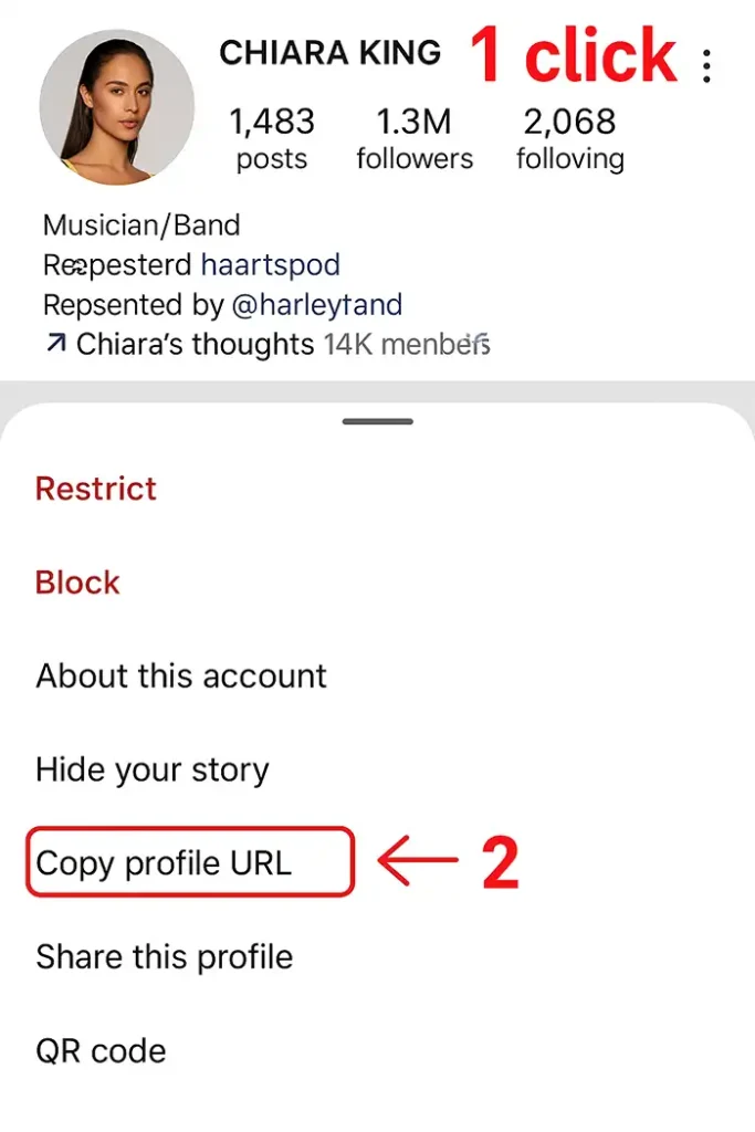 Instagram Copy bio Tool help 01 insget