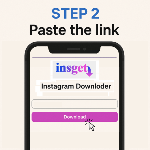 Go to the insget website and find the input field. Paste the copied link into the box. Then click the âDownloadâ button to proceed.